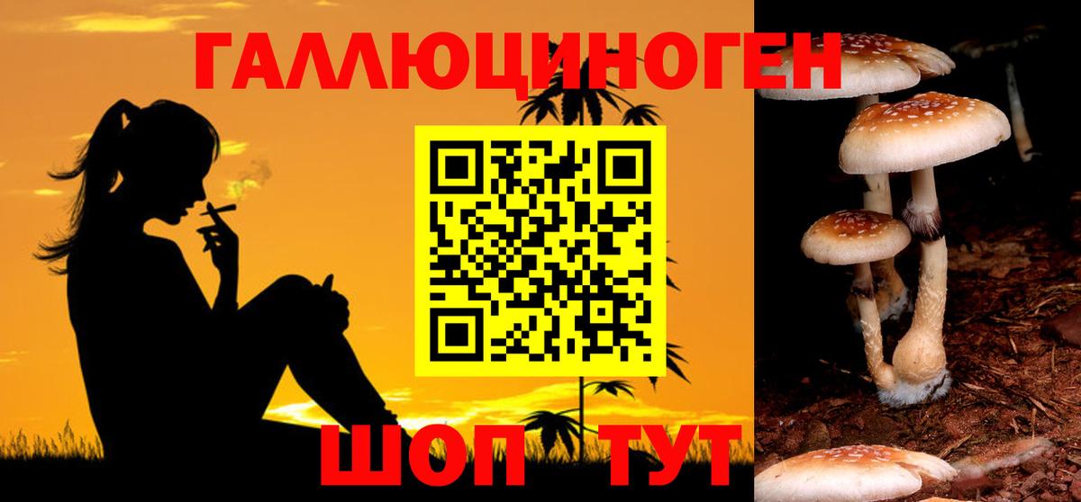 Чайковский  Псилоцибиновые грибы Magic Shrooms  Вход с VPN 